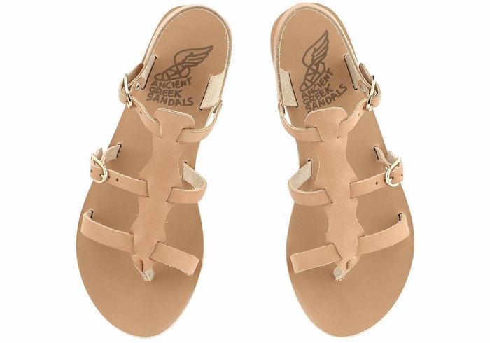 Beige Women Ancient Greek Sandals Grace Kelly Leather Casual Sandals | ZBG8426GU