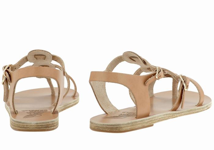 Beige Women Ancient Greek Sandals Grace Kelly Leather Casual Sandals | ZBG8426GU