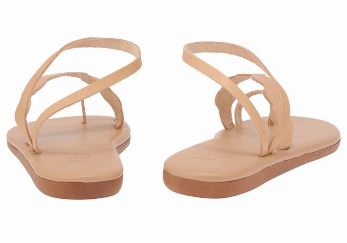 Beige Women Ancient Greek Sandals Koralia Toe-Post Sandals | QQY3461AK