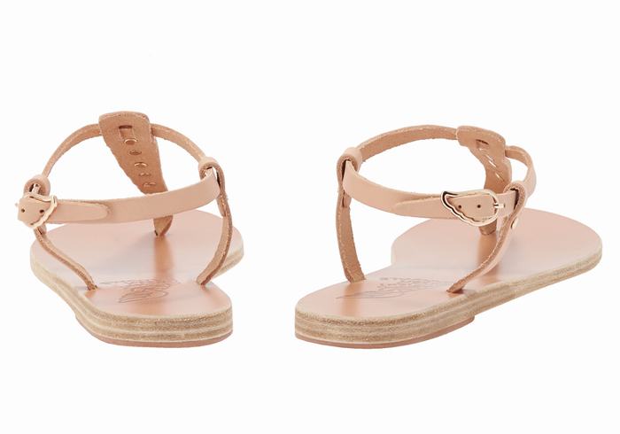 Beige Women Ancient Greek Sandals Lito Bee Back-Strap Sandals | CTH3353YN