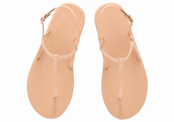 Beige Women Ancient Greek Sandals Lito Flip Flop Back-Strap Sandals | KEJ242KK