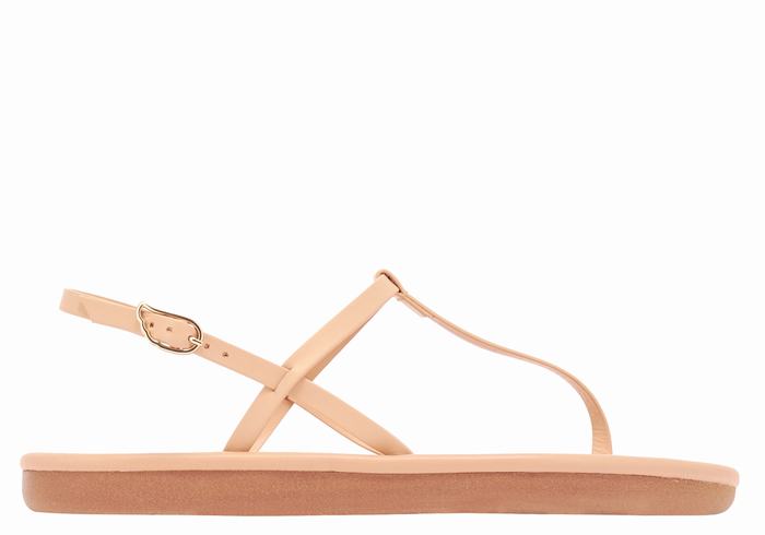 Beige Women Ancient Greek Sandals Lito Flip Flop Back-Strap Sandals | KEJ242KK