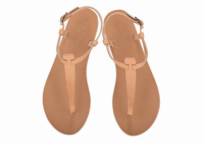 Beige Women Ancient Greek Sandals Lito Flip Flop Leather Back-Strap Sandals | EKR5946TP