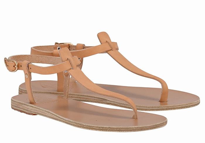 Beige Women Ancient Greek Sandals Lito Flip Flop Leather Back-Strap Sandals | EKR5946TP