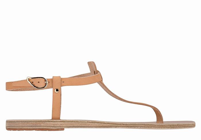 Beige Women Ancient Greek Sandals Lito Flip Flop Leather Back-Strap Sandals | EKR5946TP