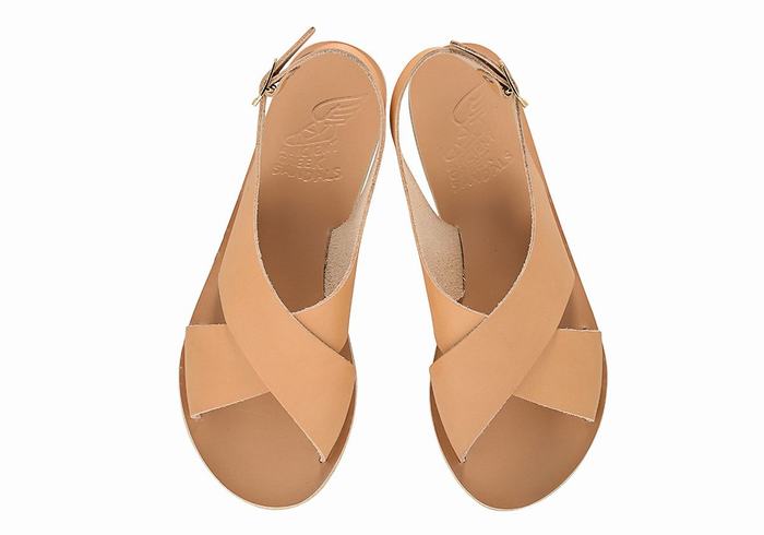 Beige Women Ancient Greek Sandals Maria Leather Casual Sandals | IUC2916HX