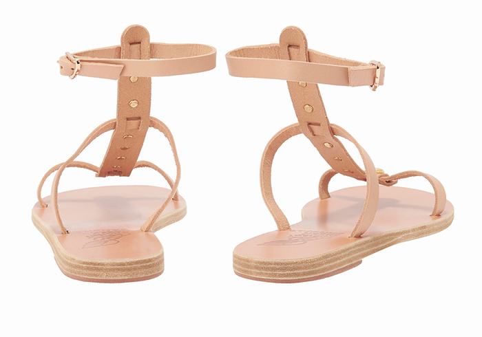 Beige Women Ancient Greek Sandals Meliti Bee Ankle Strap Sandals | UUB7920EL