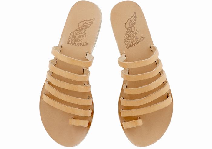 Beige Women Ancient Greek Sandals Niki Leather Toe-Post Sandals | DUB6390CE