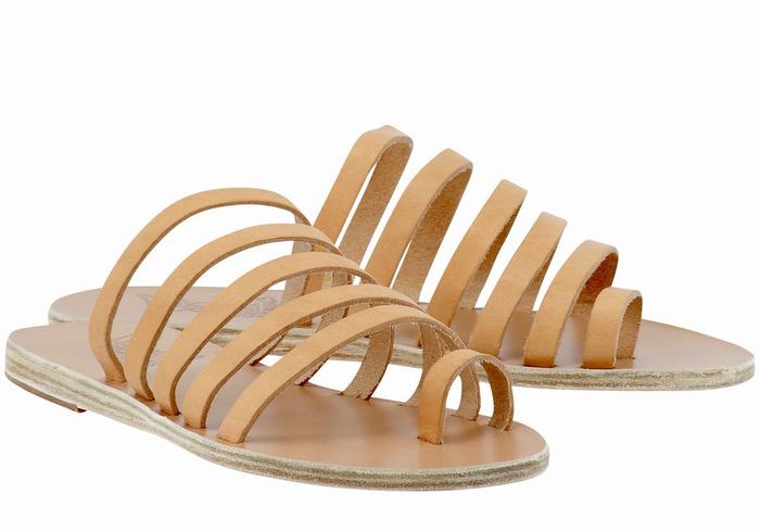 Beige Women Ancient Greek Sandals Niki Leather Toe-Post Sandals | DUB6390CE