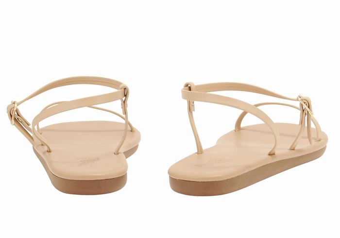 Beige Women Ancient Greek Sandals Niove Back-Strap Sandals | FED891IH