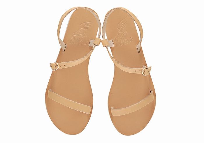 Beige Women Ancient Greek Sandals Niove Leather Back-Strap Sandals | ZTR8978HY