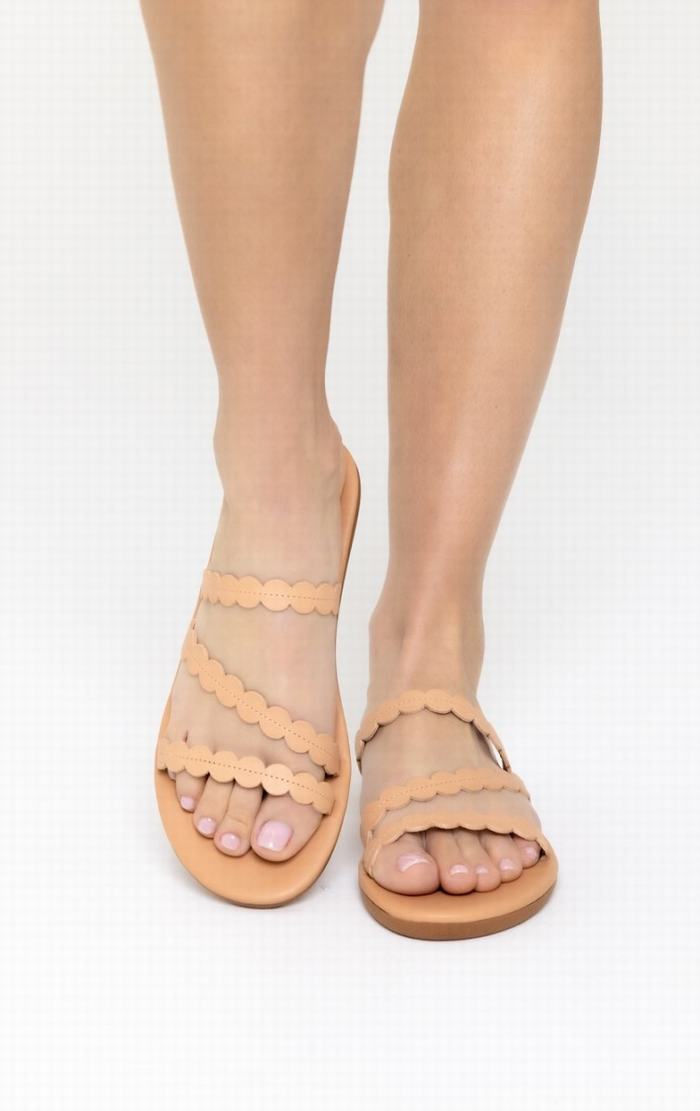 Beige Women Ancient Greek Sandals Oceanis Slide Sandals | OIA9495OB