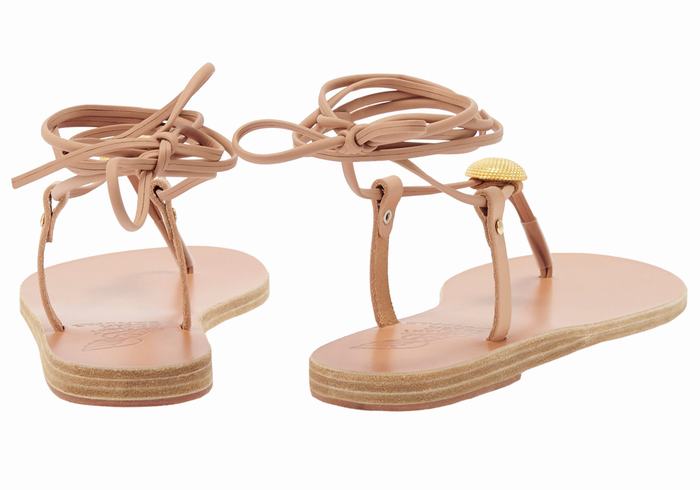 Beige Women Ancient Greek Sandals Persephone Gladiator Sandals | JNF9147PQ