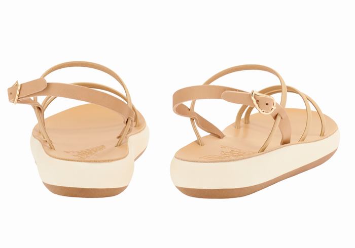 Beige Women Ancient Greek Sandals Polis Back-Strap Sandals | NBS9723LU