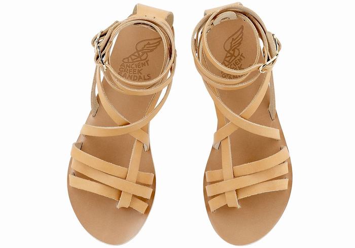 Beige Women Ancient Greek Sandals Satira Leather Gladiator Sandals | ESP477XN