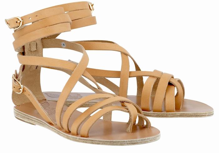 Beige Women Ancient Greek Sandals Satira Leather Gladiator Sandals | ESP477XN