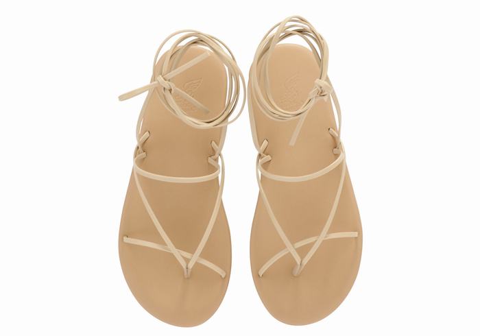 Beige Women Ancient Greek Sandals String Gladiator Sandals | HST331YK