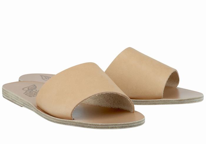 Beige Women Ancient Greek Sandals Taygete Slide Sandals | XEL9565EM