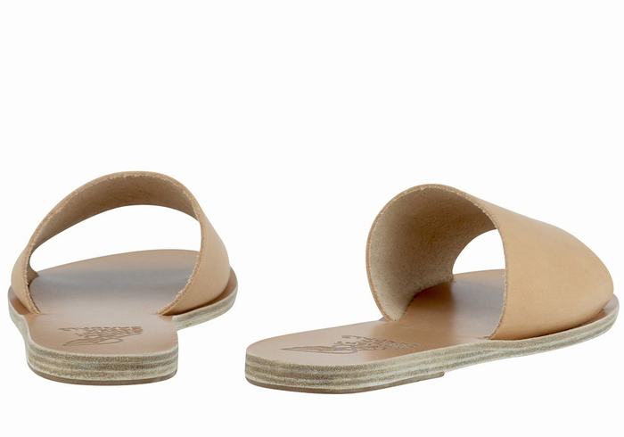 Beige Women Ancient Greek Sandals Taygete Slide Sandals | XEL9565EM