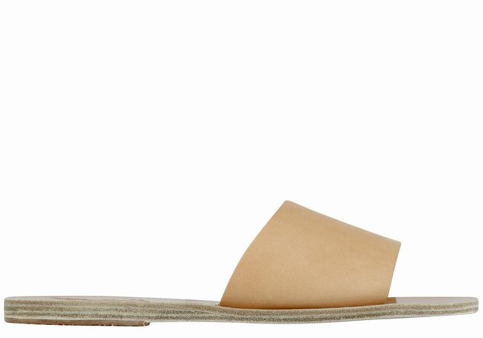 Beige Women Ancient Greek Sandals Taygete Slide Sandals | XEL9565EM