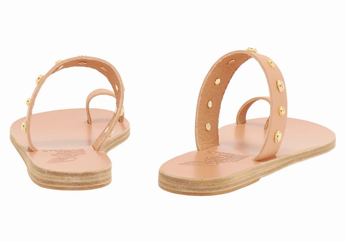 Beige Women Ancient Greek Sandals Thalia Bee Toe-Post Sandals | SXX327KM