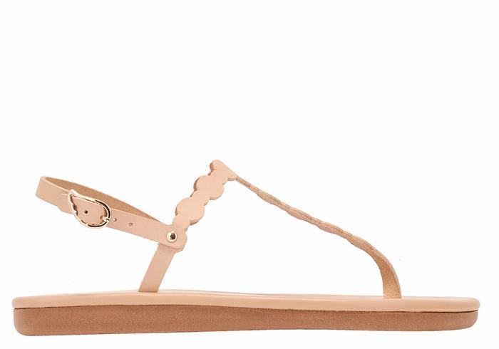 Beige Women Ancient Greek Sandals Velos Flip Flop Back-Strap Sandals | KOC1414XU