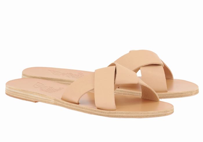 Beige Women Ancient Greek Sandals Whitney Slide Sandals | RRF4551WQ