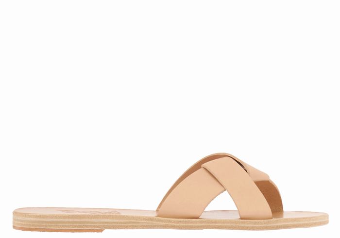 Beige Women Ancient Greek Sandals Whitney Slide Sandals | RRF4551WQ