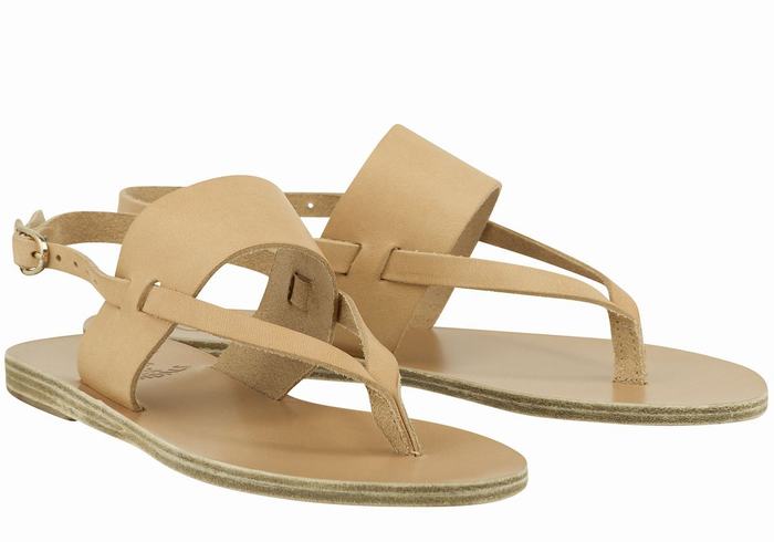 Beige Women Ancient Greek Sandals Zoe Flip Flop Leather Back-Strap Sandals | RNK1410UF