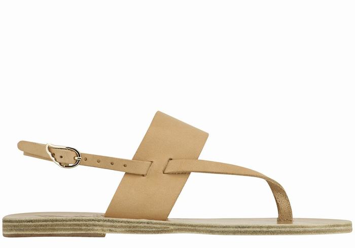 Beige Women Ancient Greek Sandals Zoe Flip Flop Leather Back-Strap Sandals | RNK1410UF