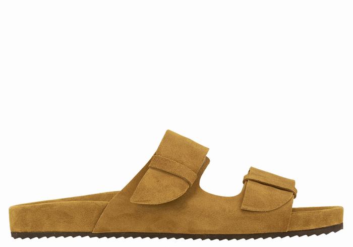 Brown Men Ancient Greek Sandals Diogenis Slippers | QSS150MF