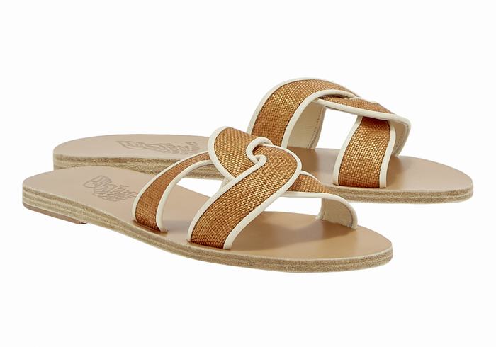 Brown White Women Ancient Greek Sandals Desmos Slide Sandals | JBJ5631BD