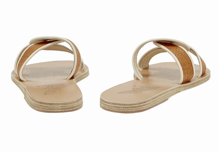 Brown White Women Ancient Greek Sandals Desmos Slide Sandals | JBJ5631BD