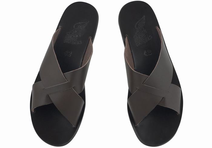 Chocolate Men Ancient Greek Sandals Bios Slide Sandals | WUX9132DG