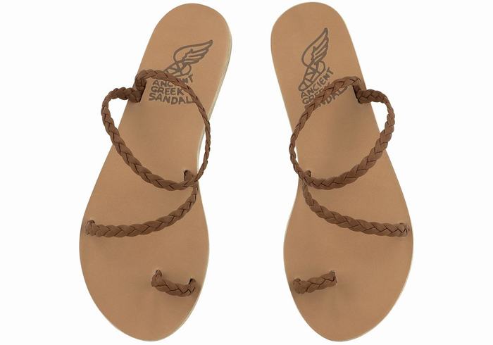 Chocolate Women Ancient Greek Sandals Eleftheria Leather Braided Sandals | WHD433QZ