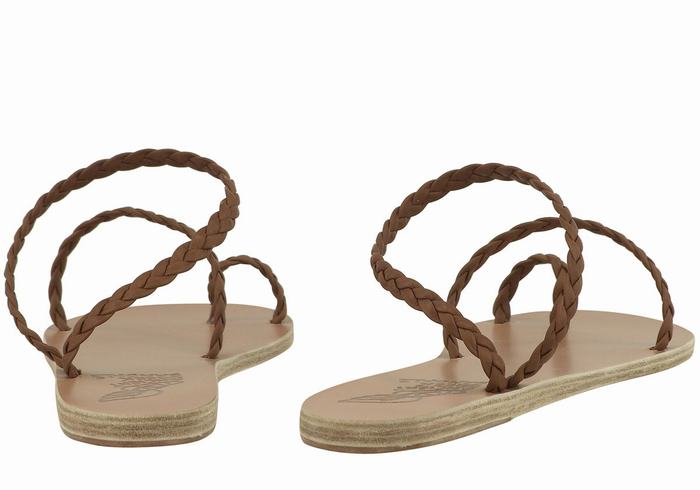 Chocolate Women Ancient Greek Sandals Eleftheria Leather Braided Sandals | WHD433QZ