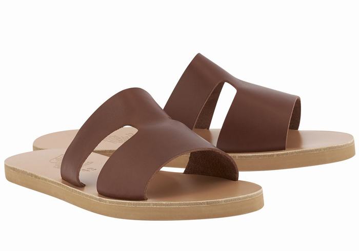 Coffee Men Ancient Greek Sandals Apteros Slide Sandals | HAB3850JX