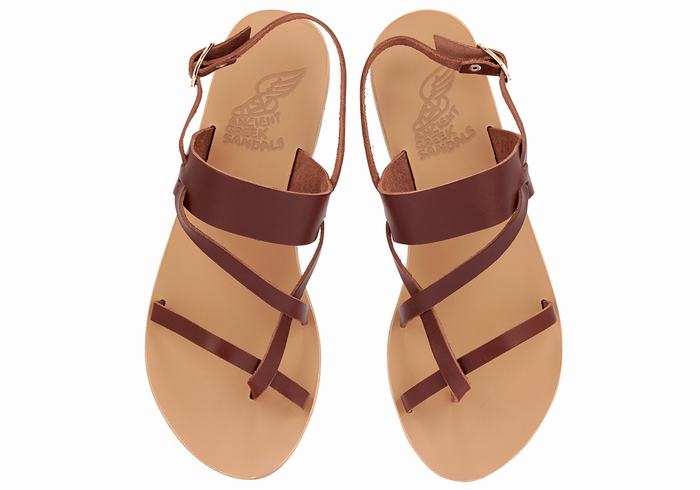 Coffee Women Ancient Greek Sandals Alethea Leather Back-Strap Sandals | QYR540BJ