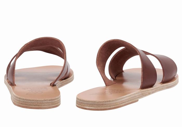 Coffee Women Ancient Greek Sandals Apteros Slide Sandals | PBU5574DQ