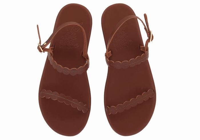 Coffee Women Ancient Greek Sandals Aroula Back-Strap Sandals | XAX6962GV