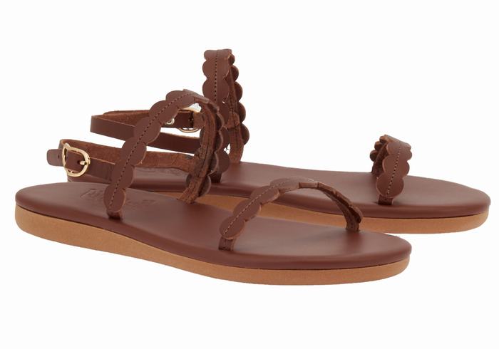 Coffee Women Ancient Greek Sandals Aroula Back-Strap Sandals | XAX6962GV