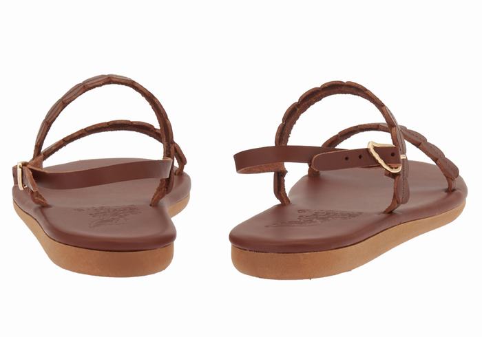 Coffee Women Ancient Greek Sandals Aroula Back-Strap Sandals | XAX6962GV