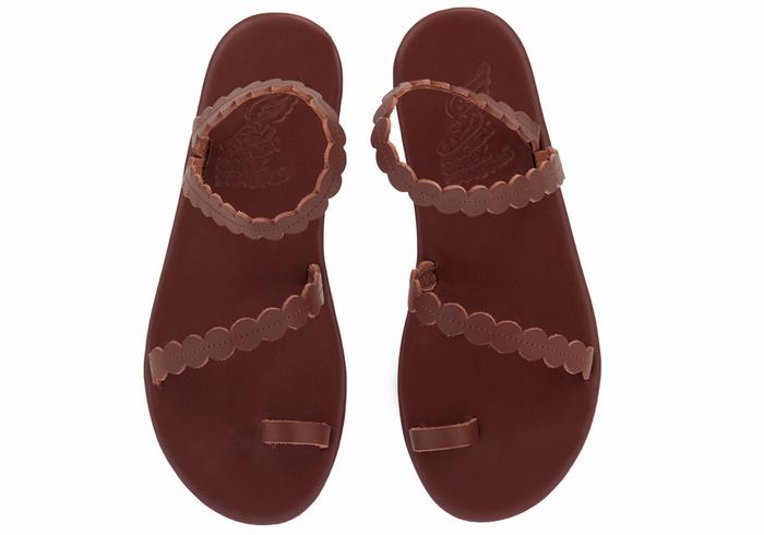 Coffee Women Ancient Greek Sandals Aura Toe-Post Sandals | AQI1004DY