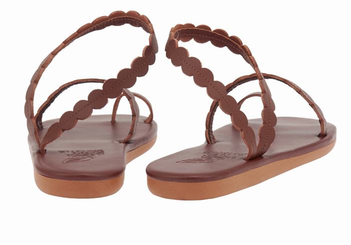 Coffee Women Ancient Greek Sandals Aura Toe-Post Sandals | AQI1004DY