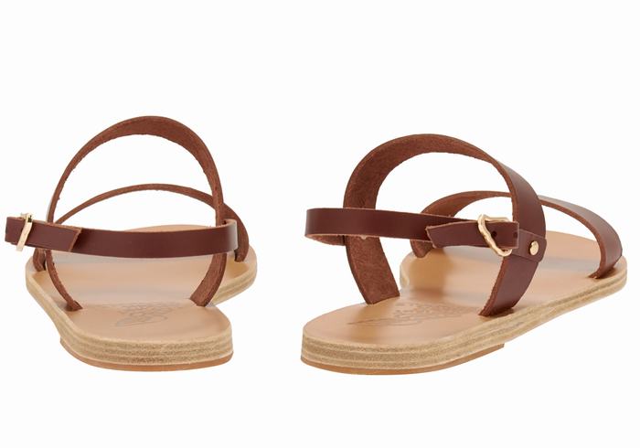 Coffee Women Ancient Greek Sandals Clio Back-Strap Sandals | RUR10074GA