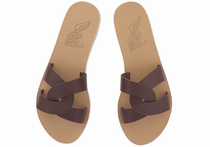 Coffee Women Ancient Greek Sandals Desmos Slide Sandals | SWQ7329LP