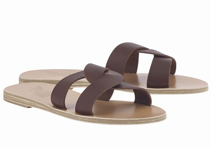 Coffee Women Ancient Greek Sandals Desmos Slide Sandals | SWQ7329LP