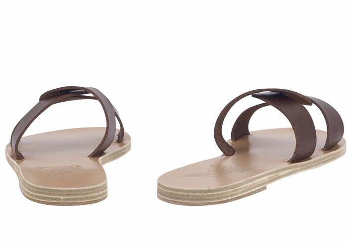 Coffee Women Ancient Greek Sandals Desmos Slide Sandals | SWQ7329LP