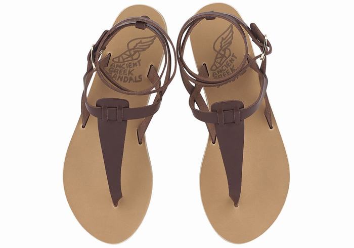 Coffee Women Ancient Greek Sandals Estia Leather Ankle Strap Sandals | DOE4341XU