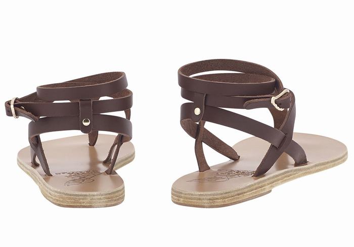 Coffee Women Ancient Greek Sandals Estia Leather Ankle Strap Sandals | DOE4341XU